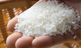 ARUniCoで取り扱っている特別栽培米のガイドラインについて